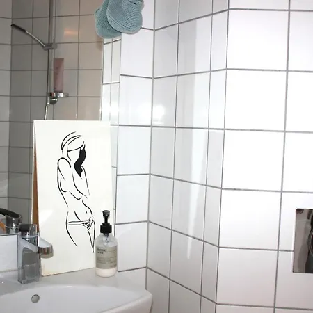 One In The Heart Of Copenhagen, With Full Kitchen Apartment *